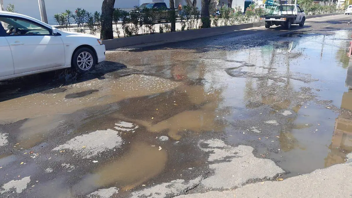 bache2