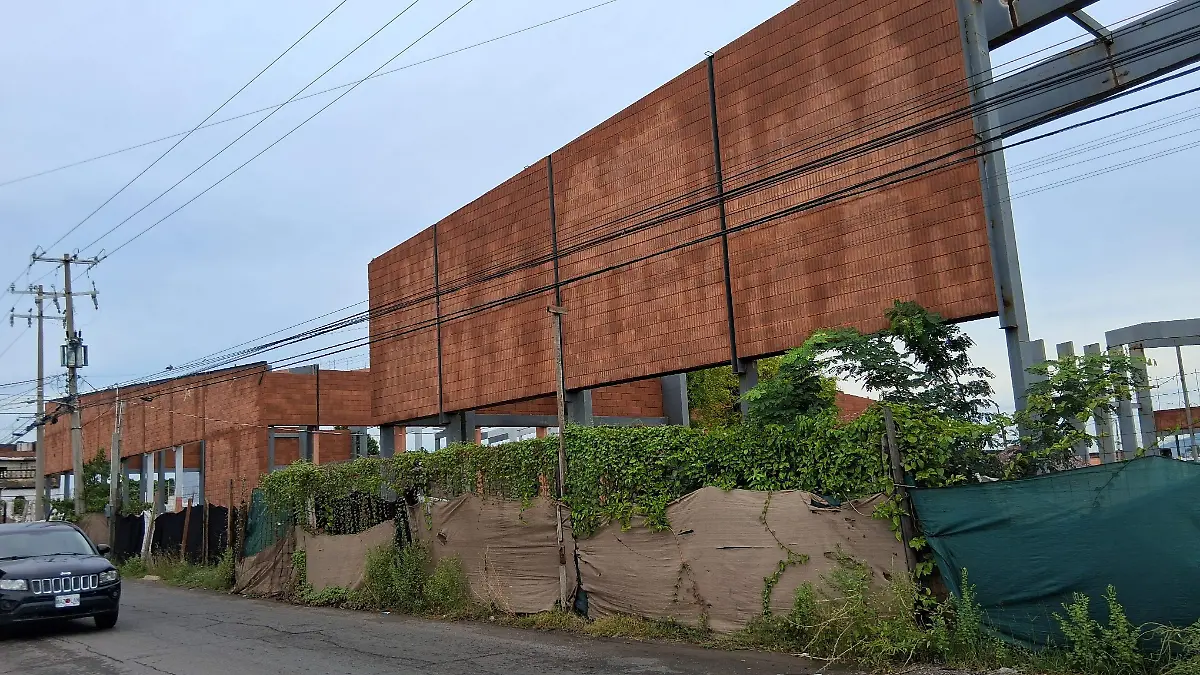 proyecto-comunitario