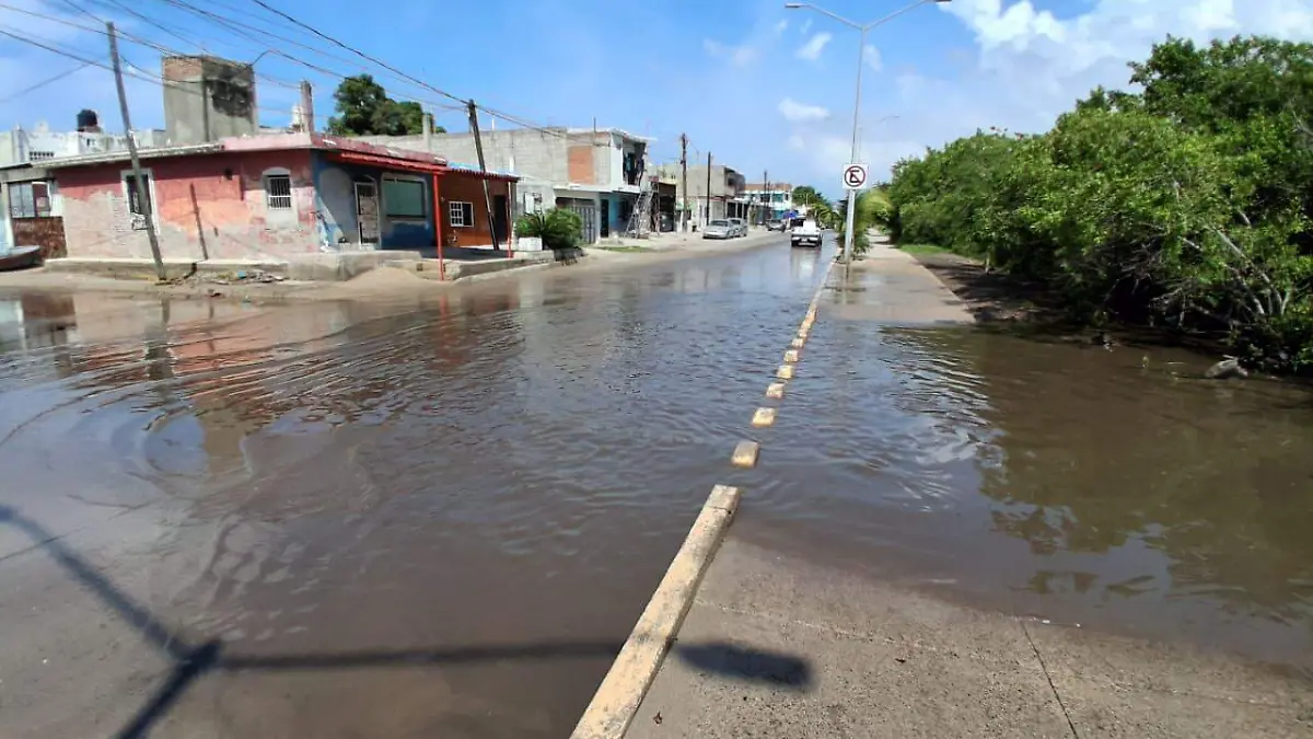 estero1