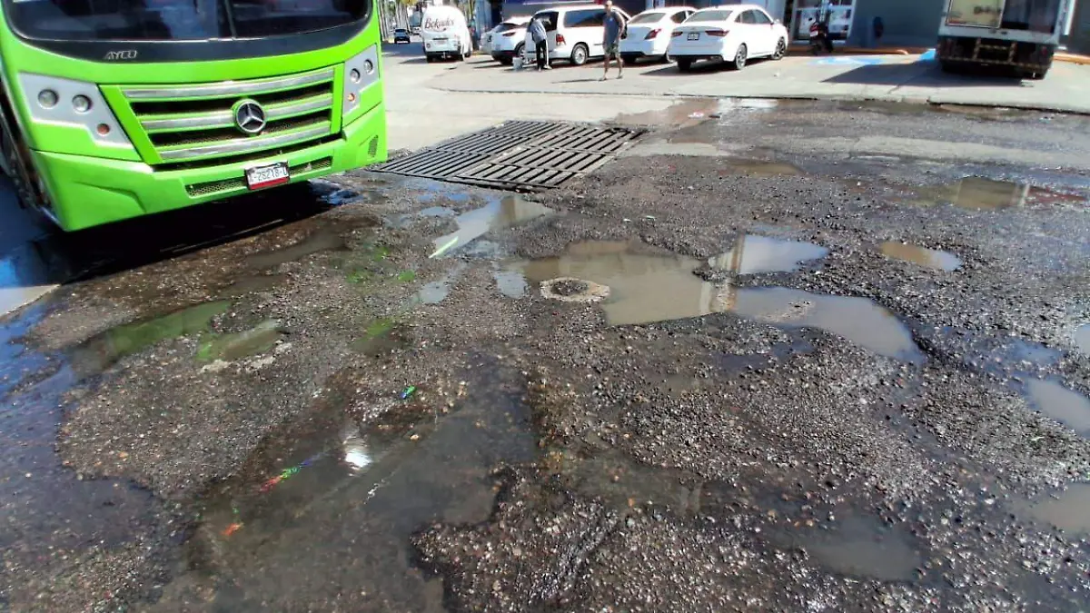 bache1