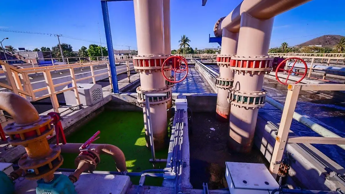 FB_IMG_1764205497707