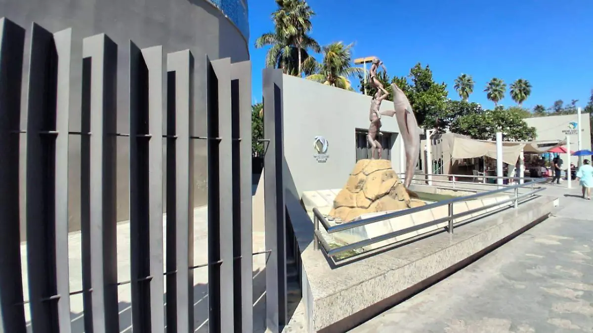 tiburonario-pinguinario