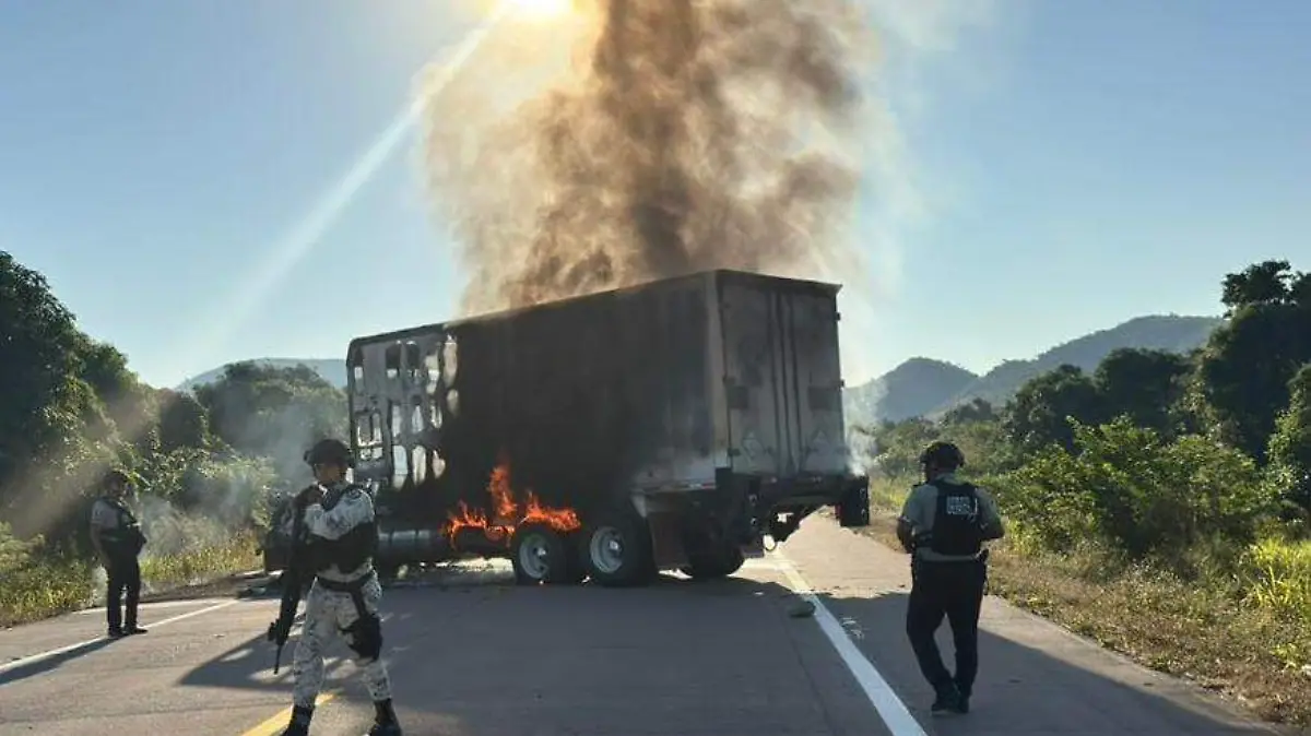 WhatsApp Image 2025-12-23 at 19.31.56 (1)