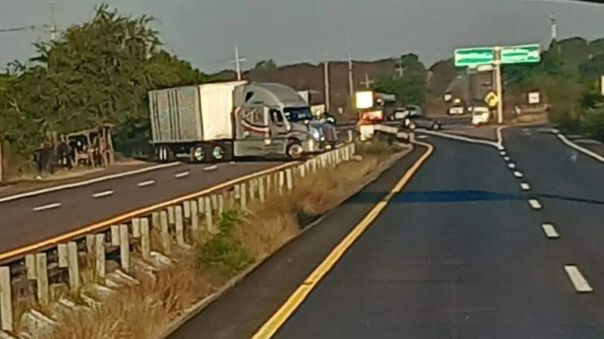 WhatsApp Image 2025-12-23 at 19.31.56