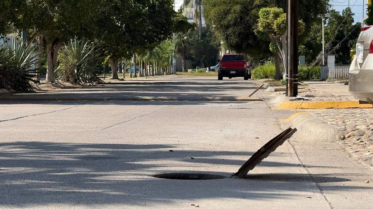 WhatsApp Image 2026-01-03 at 1.14.49 PM