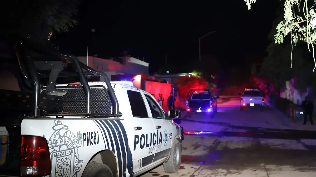 WhatsApp Image 2026-01-03 at 11.33.46 PM