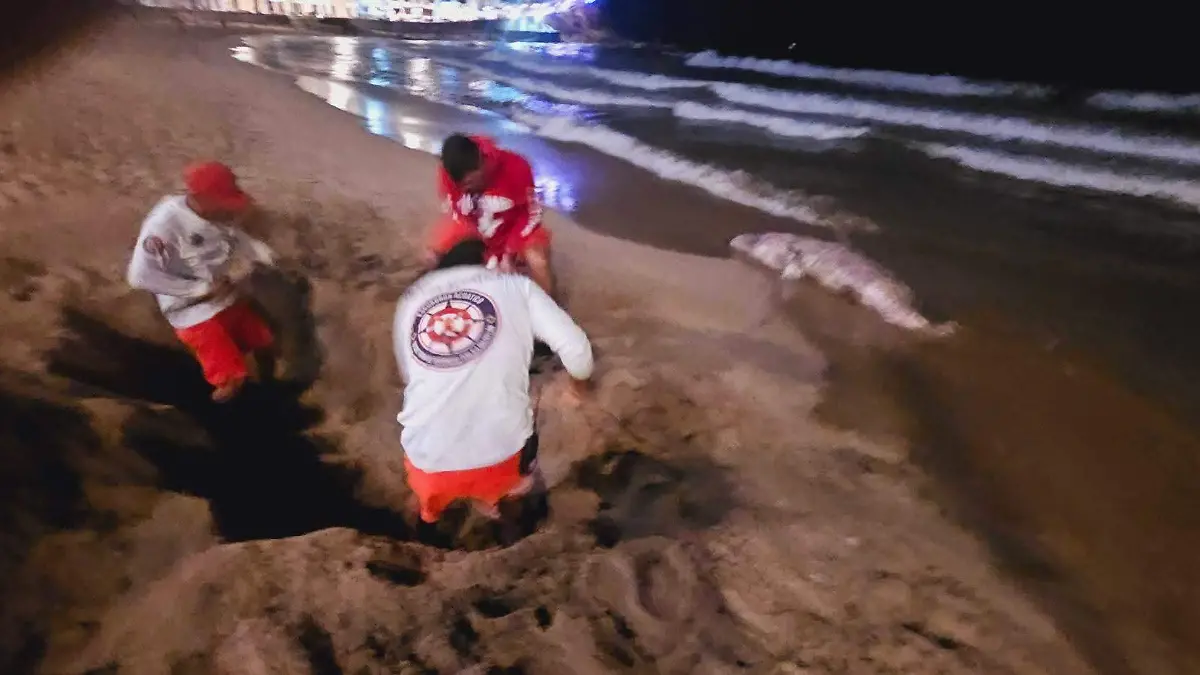 FB_IMG_1768068812052