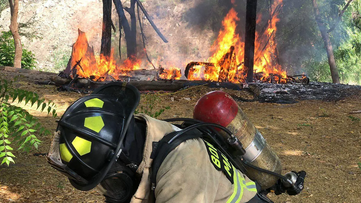 WhatsApp Image 2026-01-14 at 20.00.00