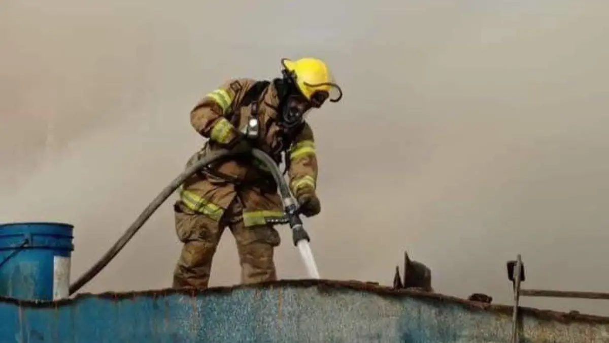 WhatsApp Image 2026-01-14 at 20.00.19 (1)