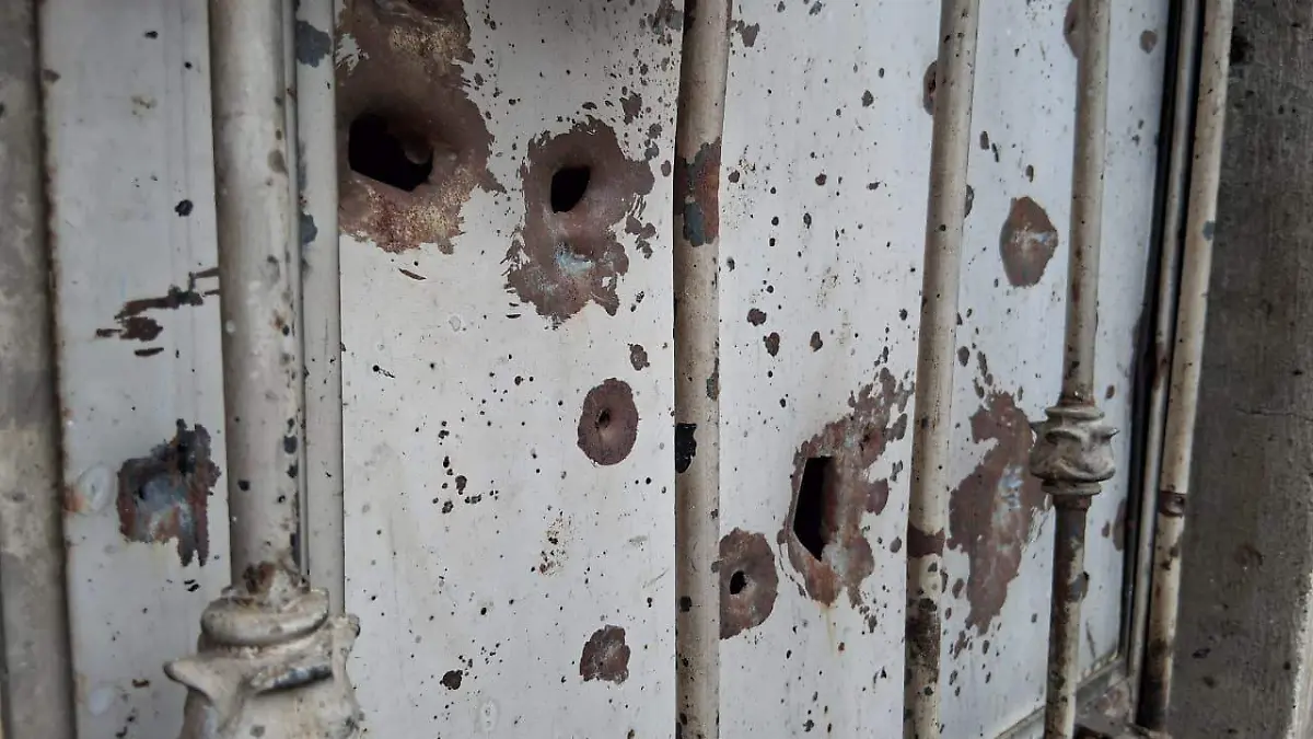 WhatsApp Image 2026-01-21 at 19.11.56 (1)