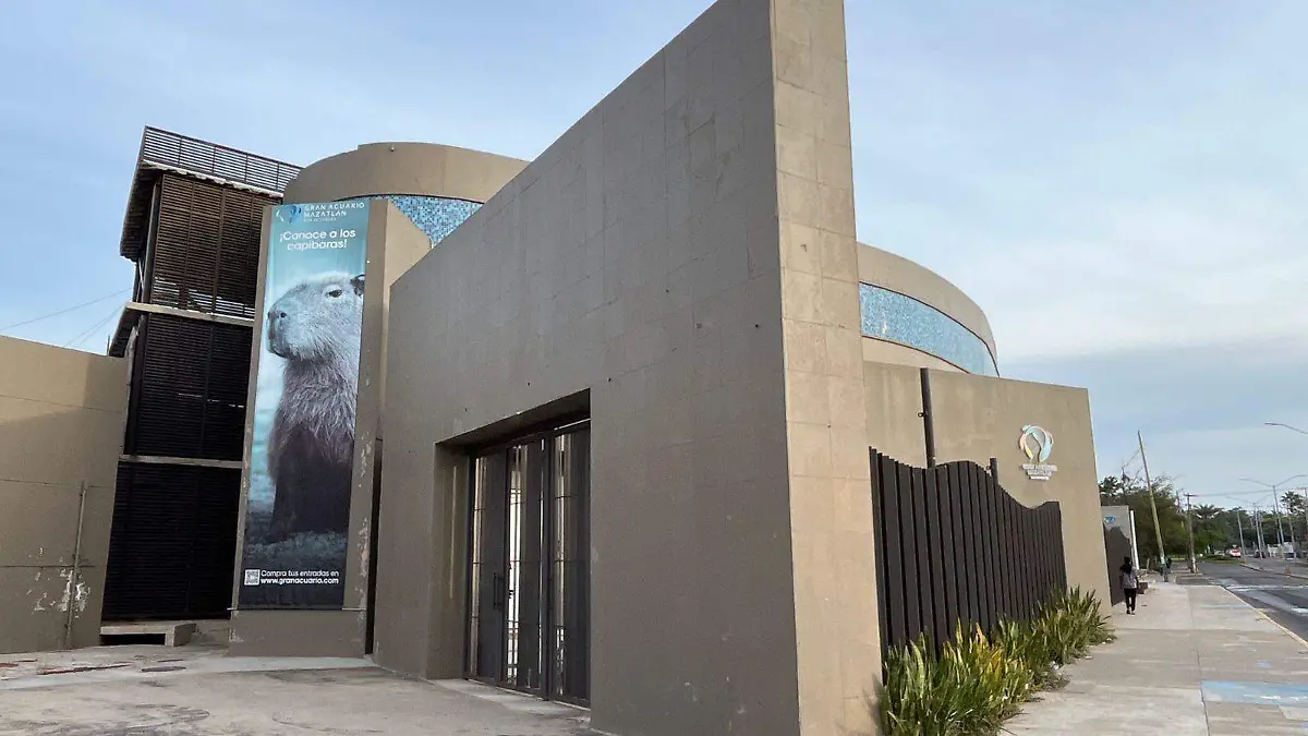 WhatsApp Image 2026-01-31 at 9.49.55 AM