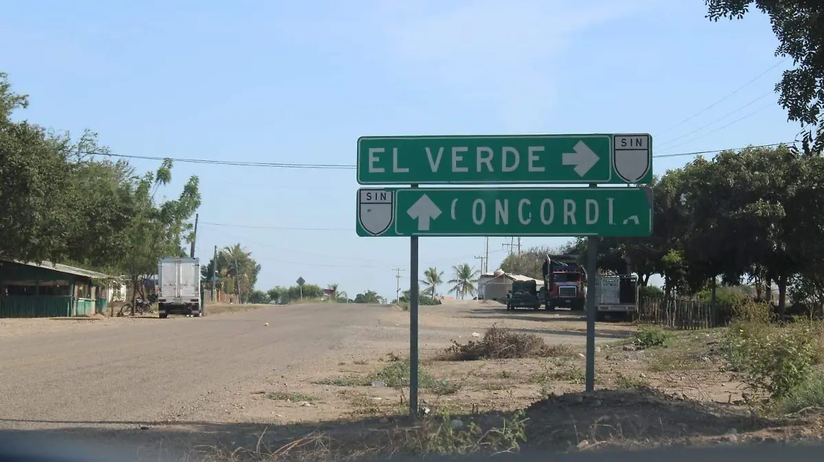 elverde-concordia