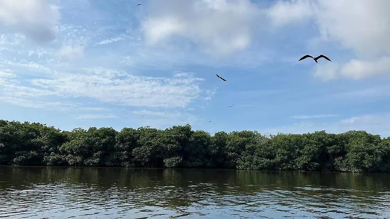 WhatsApp Image 2026-02-07 at 1.30.15 PM (2)