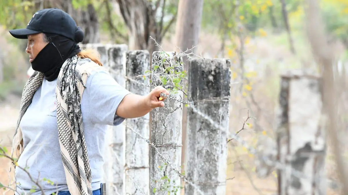 WhatsApp Image 2026-02-09 at 20.36.12 (2)