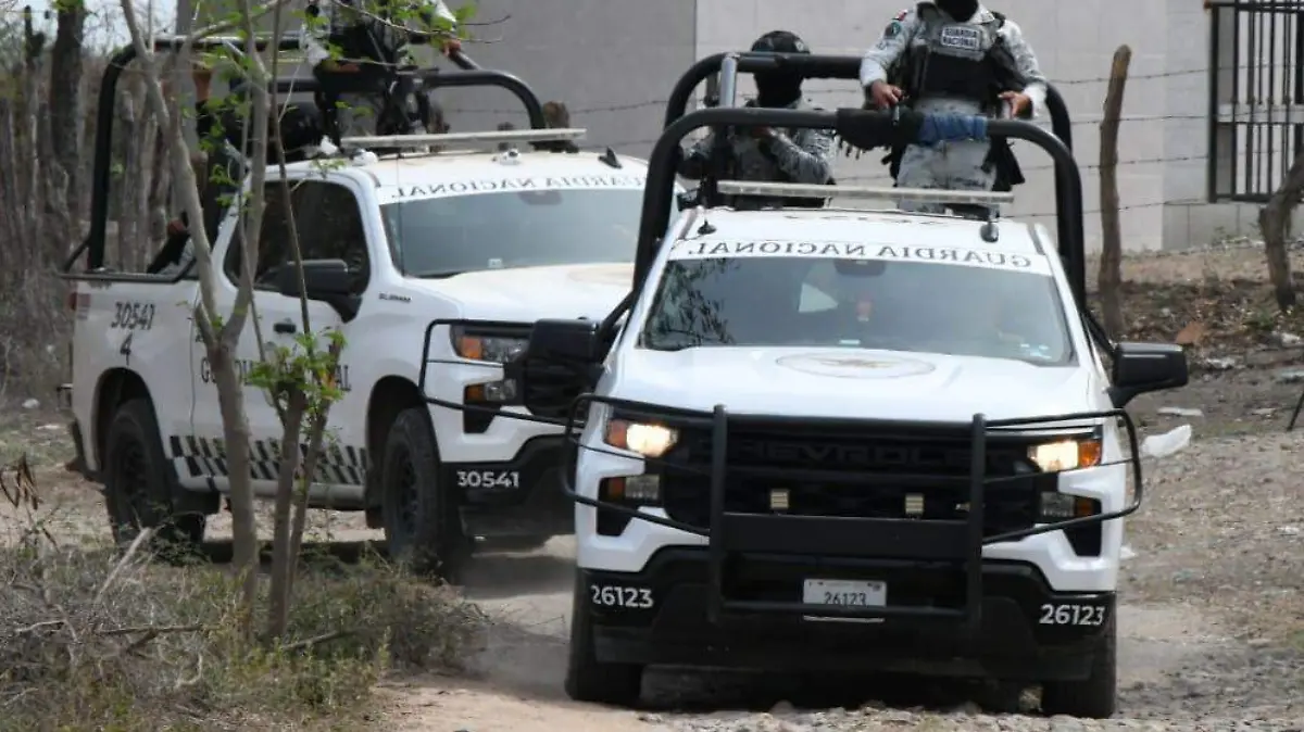 WhatsApp Image 2026-02-09 at 20.36.24 (3)