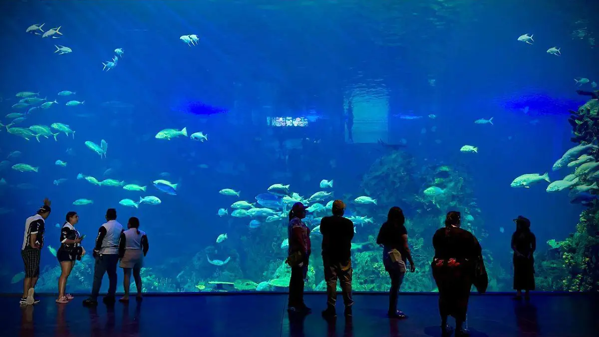 Mazatlán-acuario-carnaval