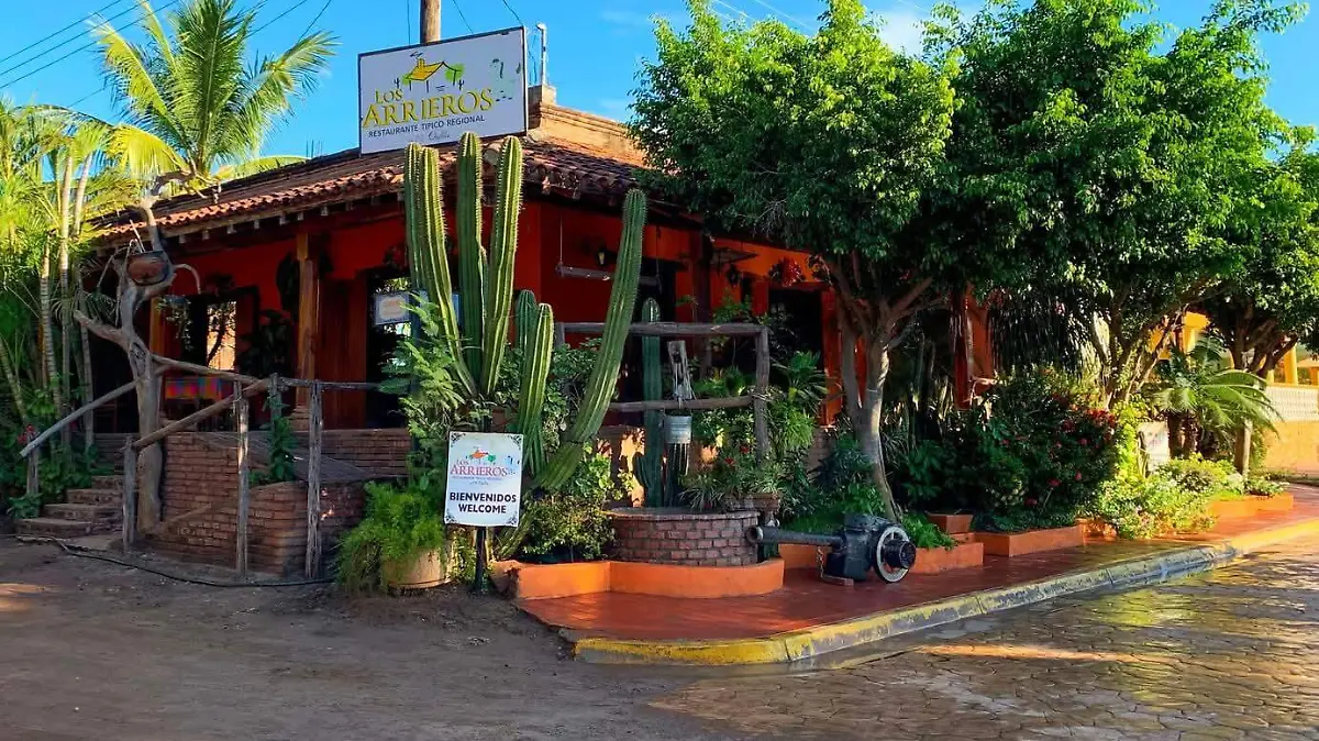 WhatsApp Image 2026-02-20 at 8.40.05 PM