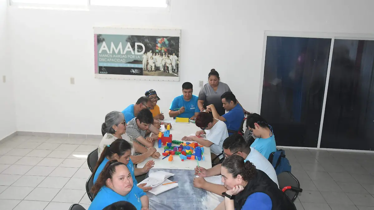 Manos-Amigas-Discapacidad