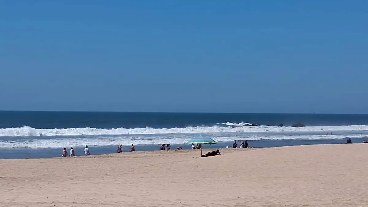 WhatsApp Image 2026-03-14 at 12.09.01 PM