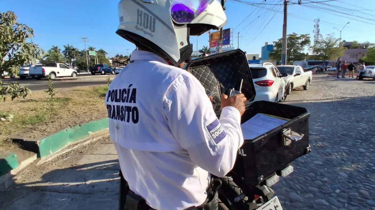 WhatsApp Image 2026-03-31 at 21.33.58 (1)