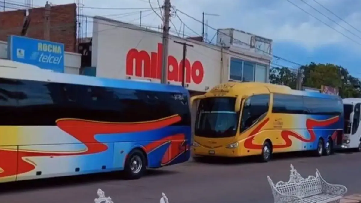 WhatsApp Image 2026-04-11 at 10.35.19 AM