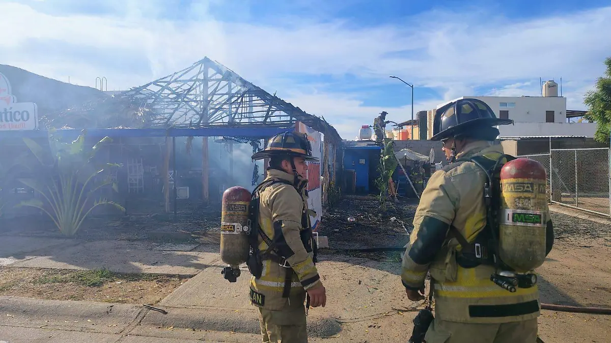 WhatsApp Image 2026-04-11 at 11.09.14 AM