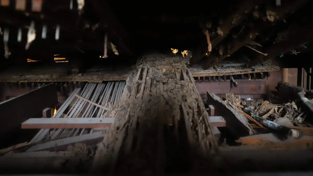 Piano-Organo-Catedral