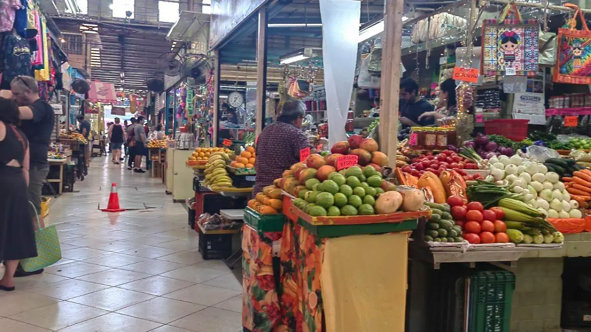 WhatsApp Image 2026-04-20 at 11.01.09 AM