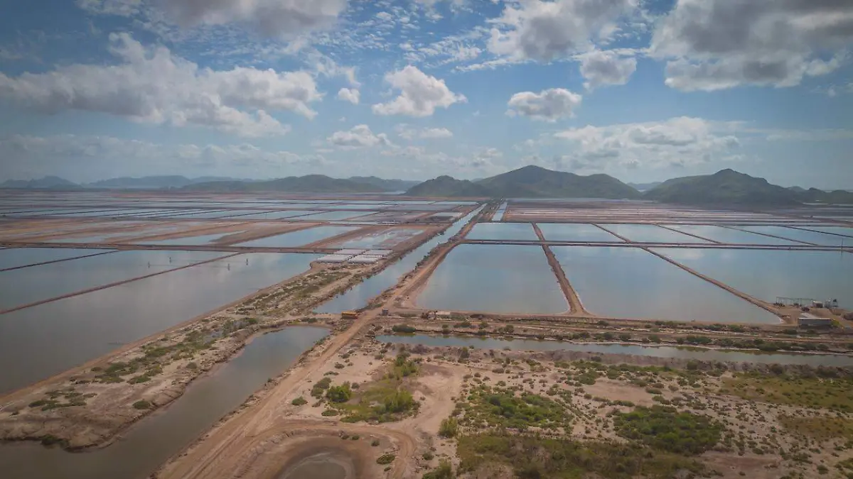 WhatsApp Image 2026-04-20 at 12.50.15 PM