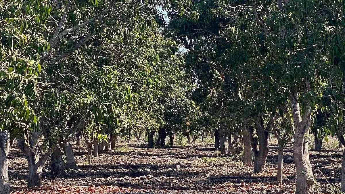 WhatsApp Image 2026-04-20 at 2.13.08 PM