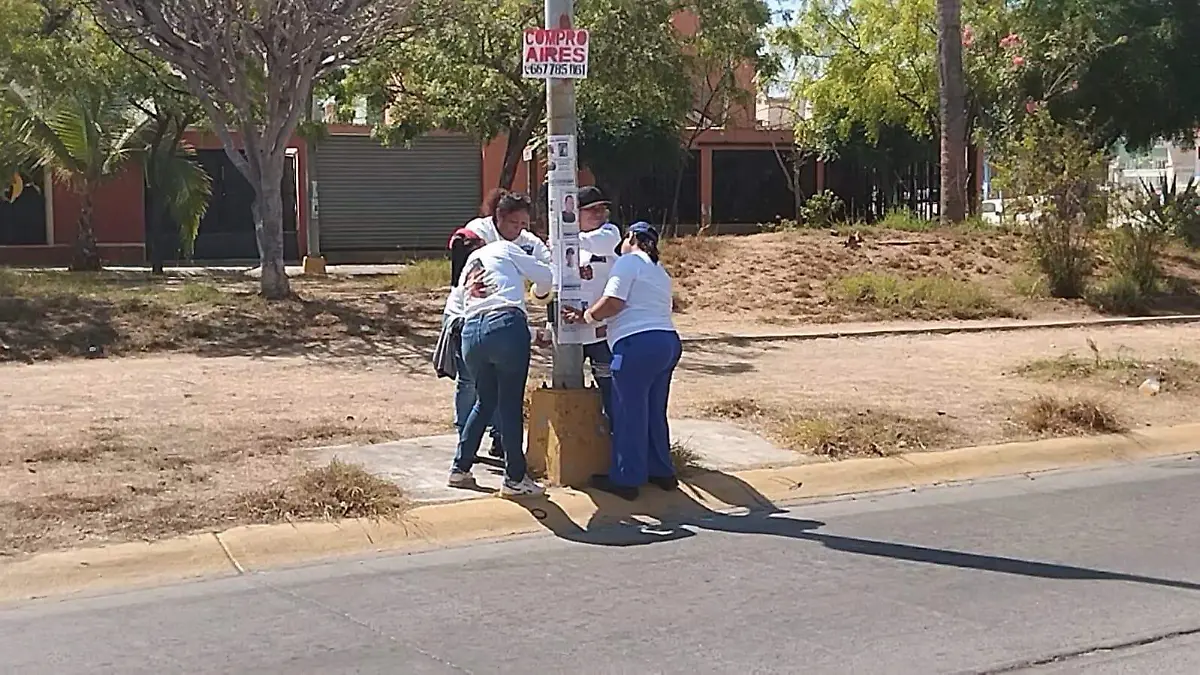buscadoras