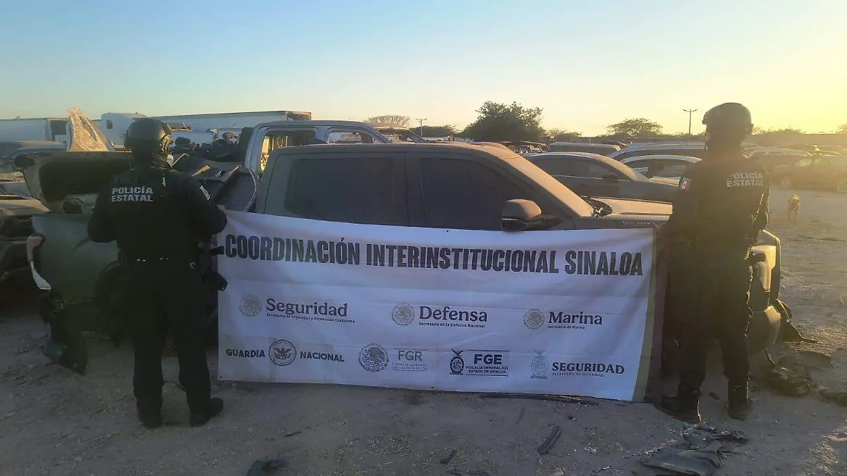 asegurados