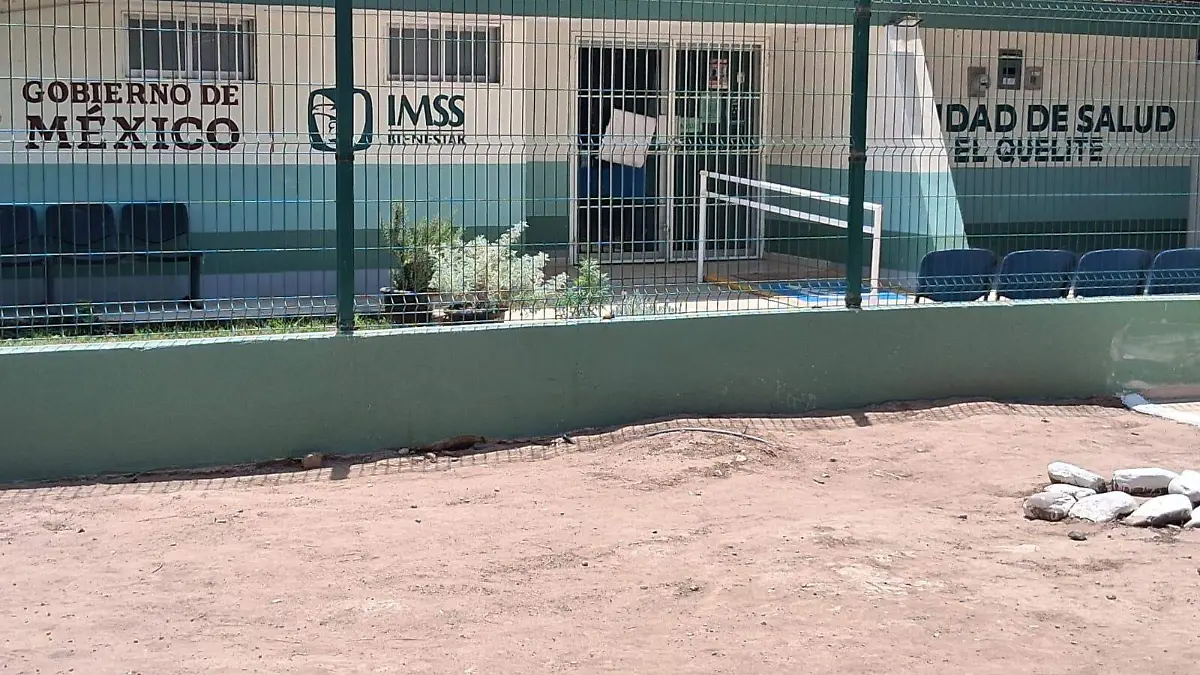 imss-quelite