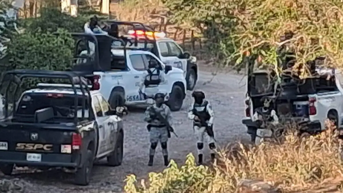 fuerzas