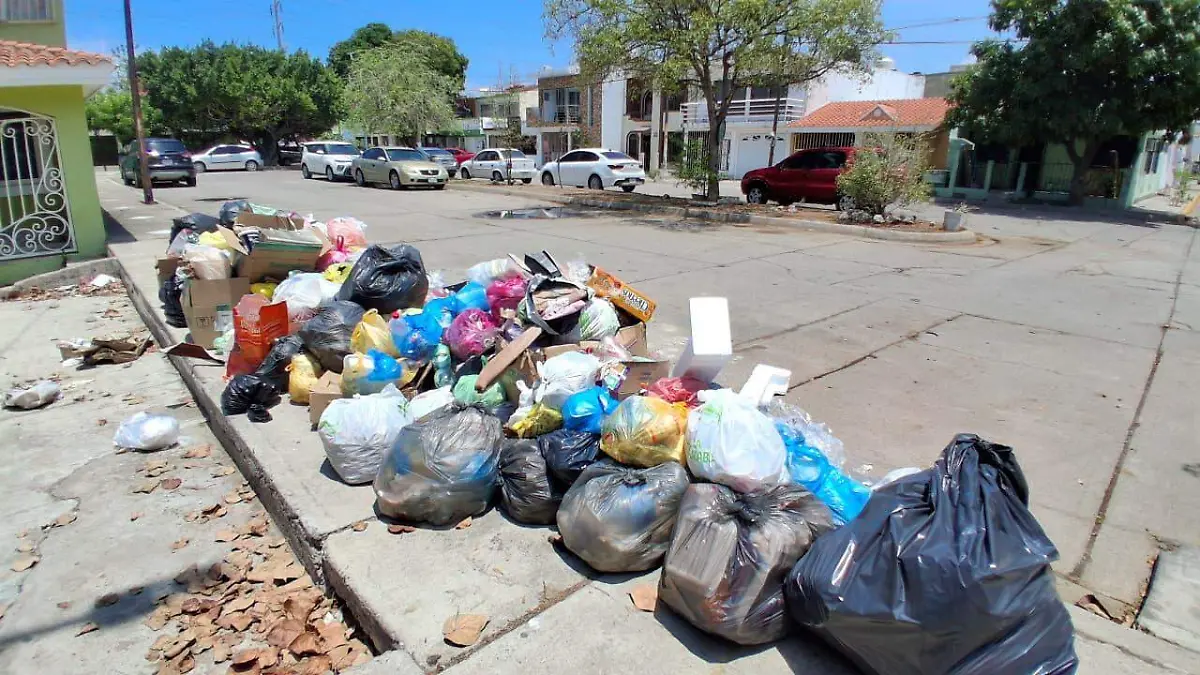 basura1