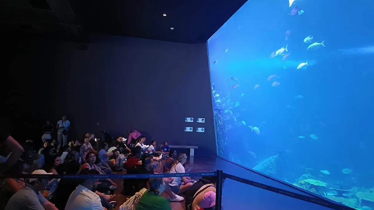 acuario