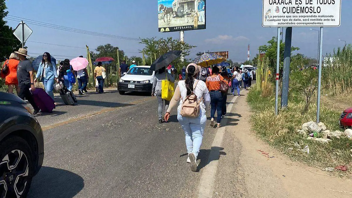 Diseño sin título - 2024-05-24T131519.744