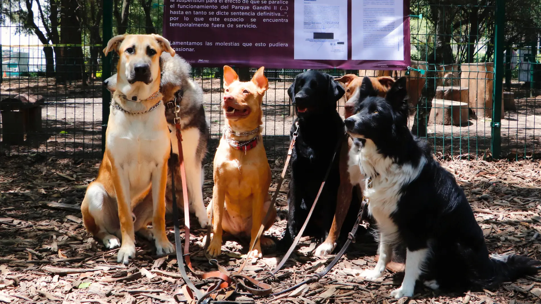 parque_perros_cierra_lovera