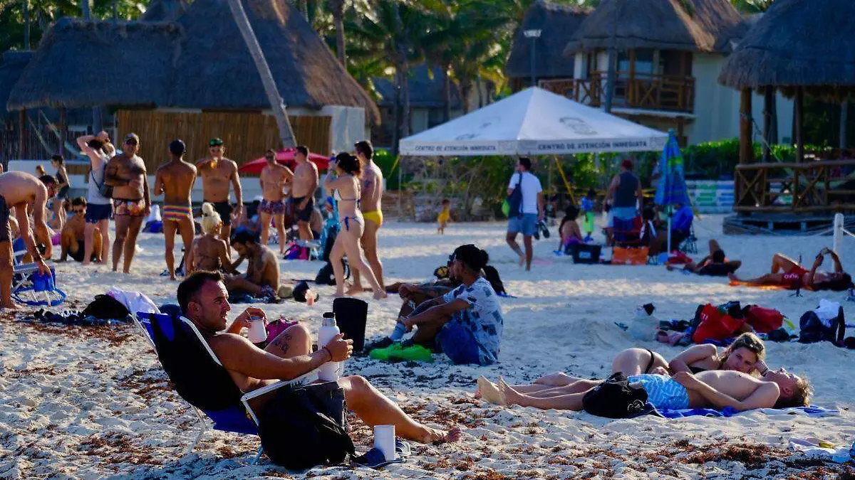 Diseño sin título - 2024-05-10T092209.807