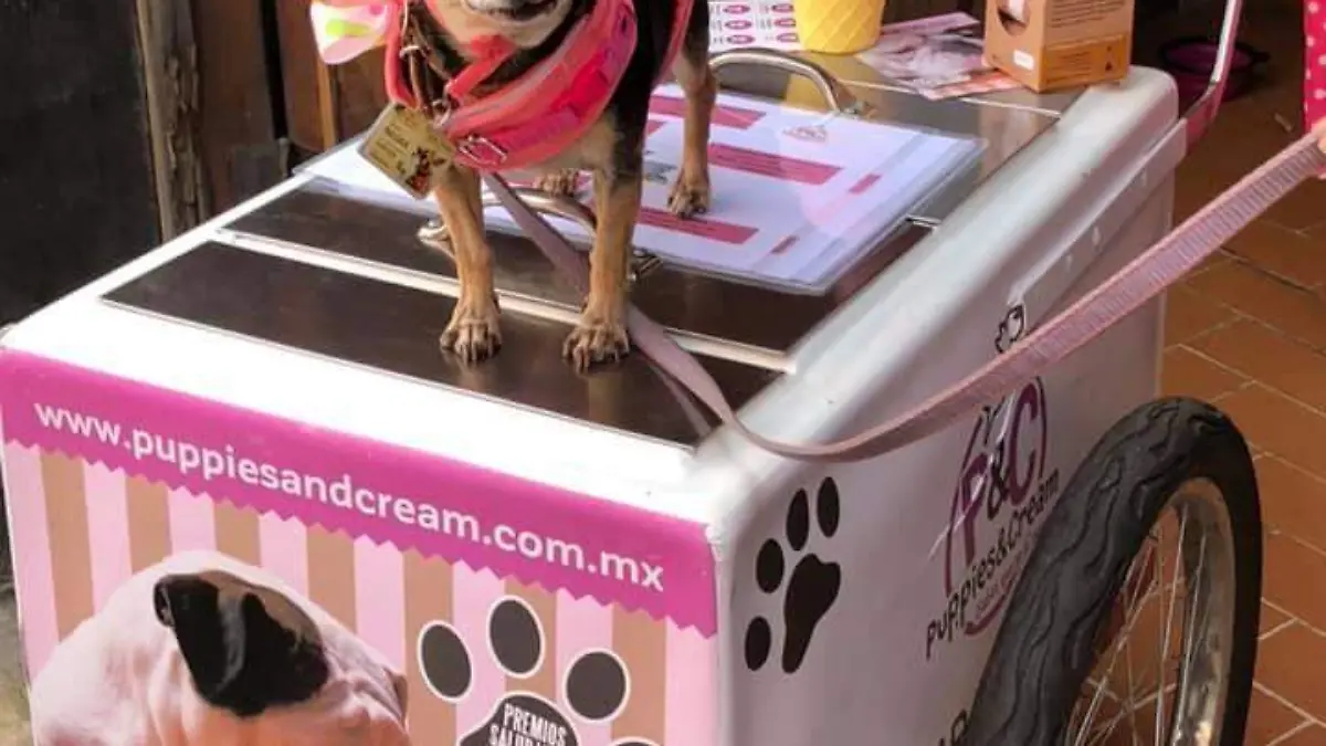 71405165_973782259622497_6477524995558866944_n