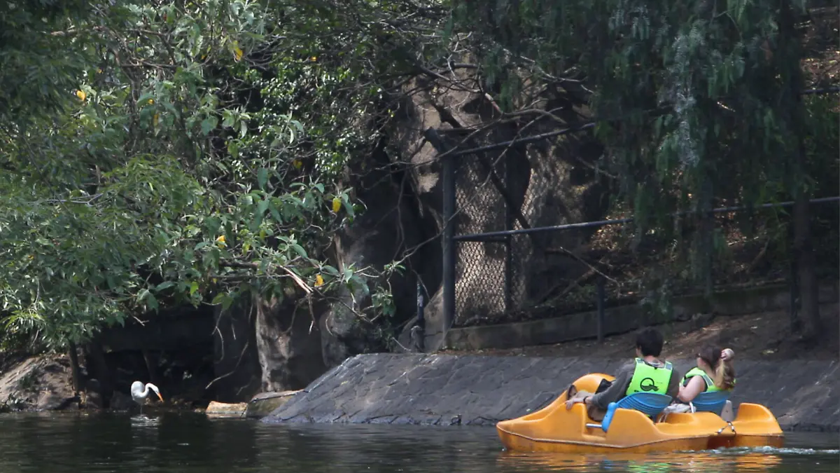 lago_chapultepec_laural