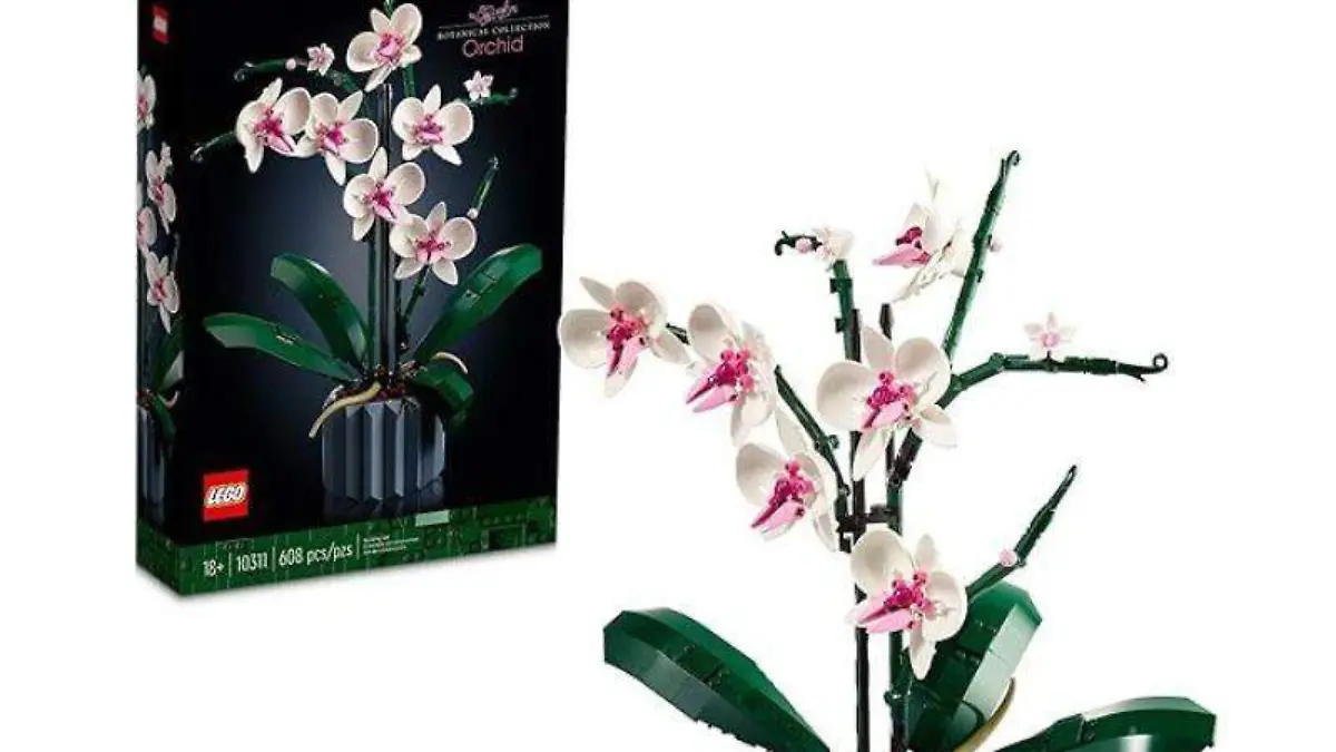 orquídeas de plástico