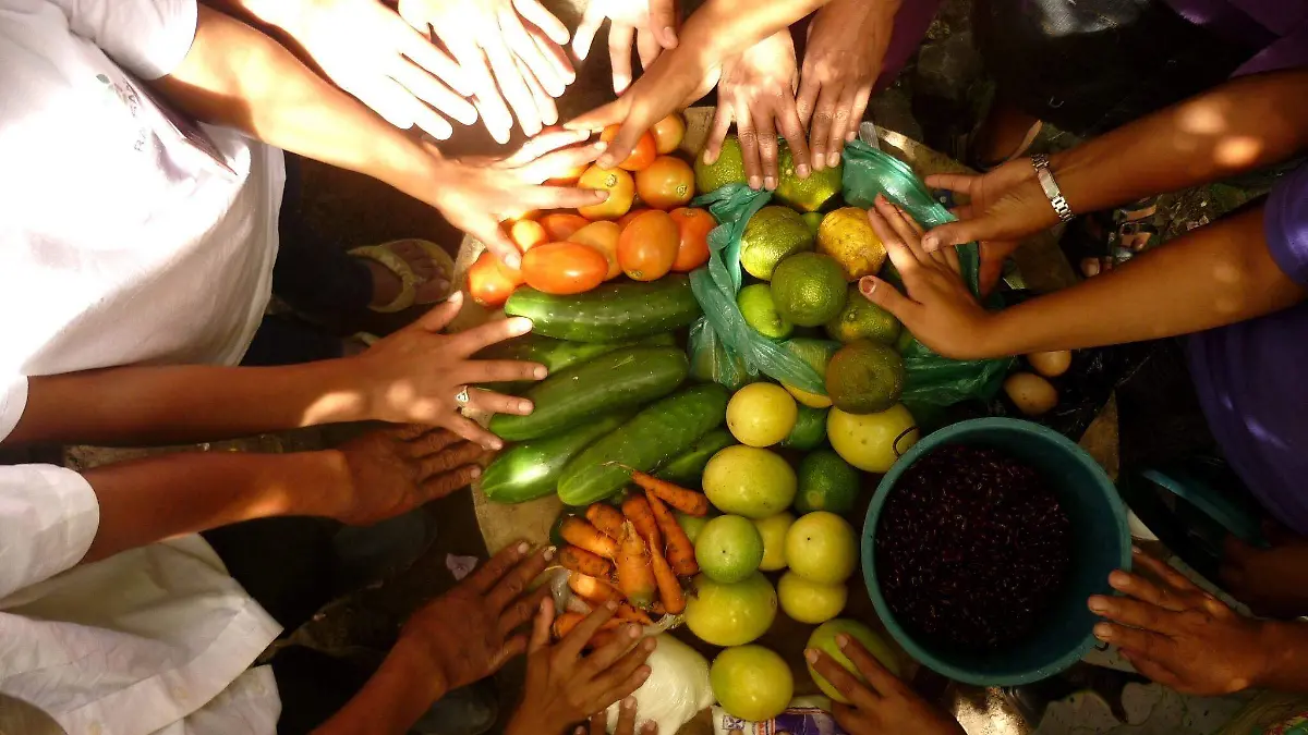 20-SEGURIDAD-ALIMENTARIA-M_XICO