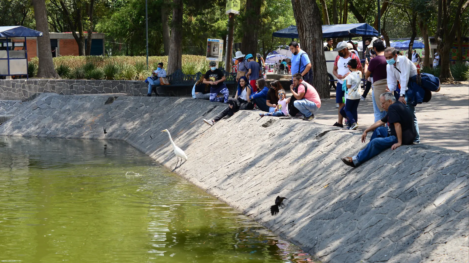 chapultepec_lago_laural