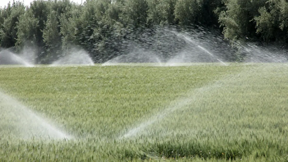 farmland-irrigation-2023-11-27-04-53-46-utc