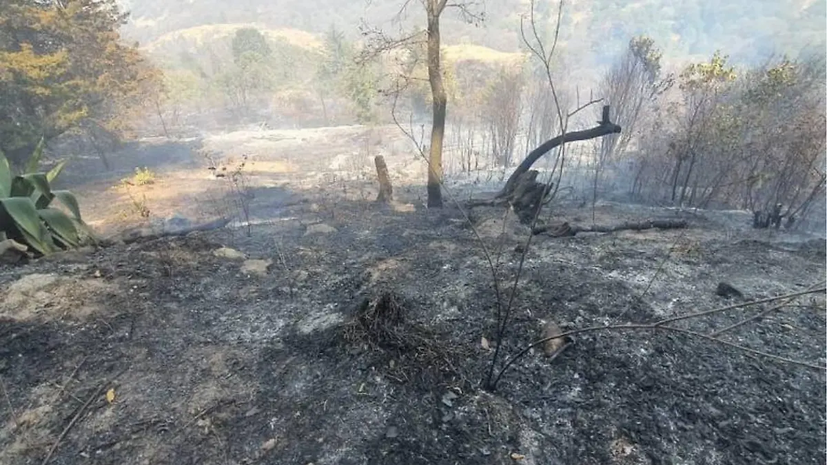 incendio_protección_civil_nauclapan
