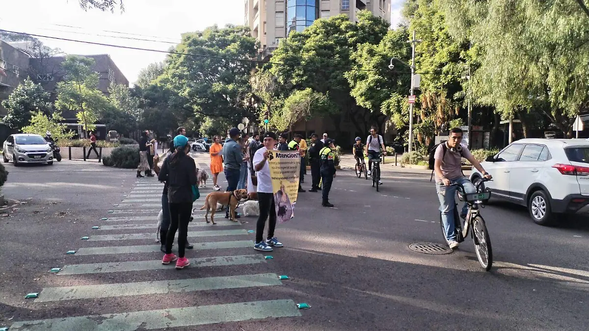 Parque Gandhi