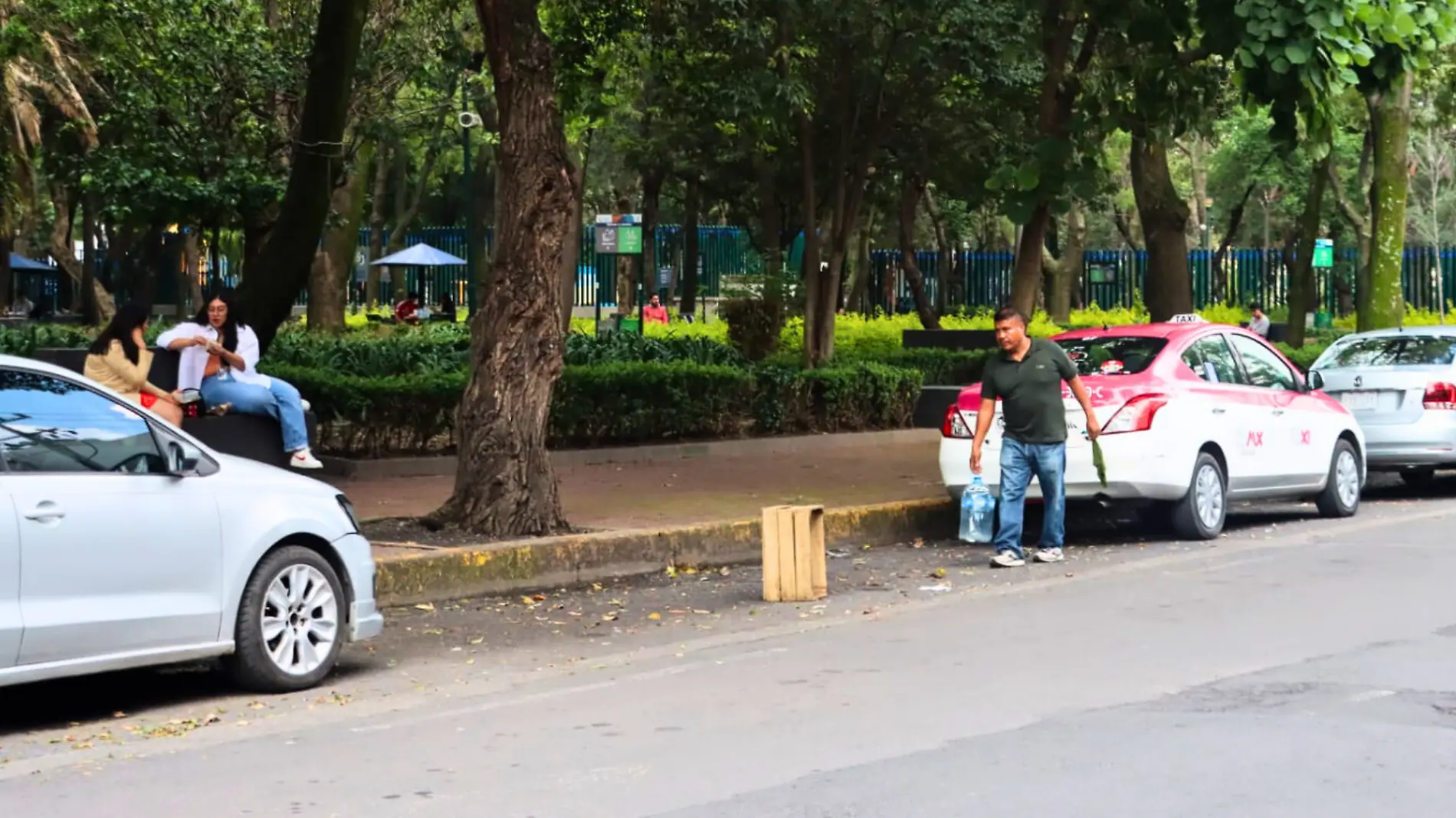 franeleros_estacionamientos