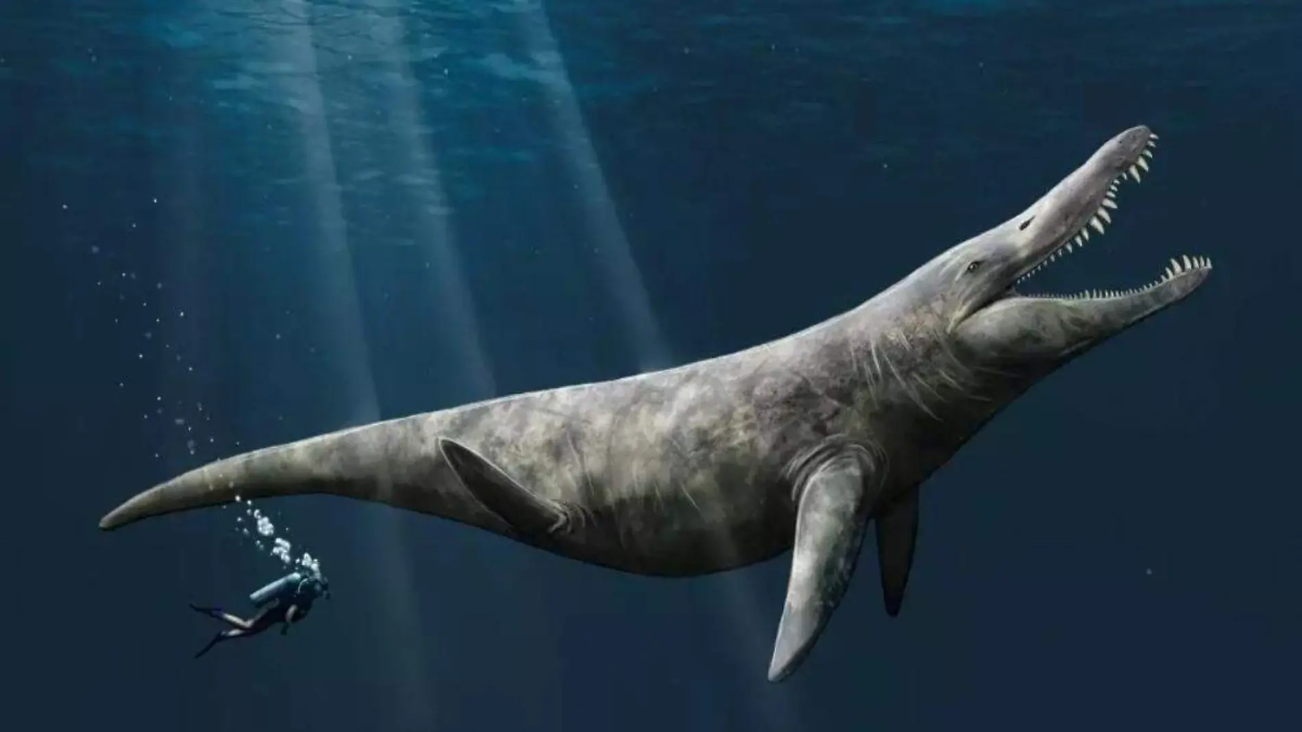 Pliosaur