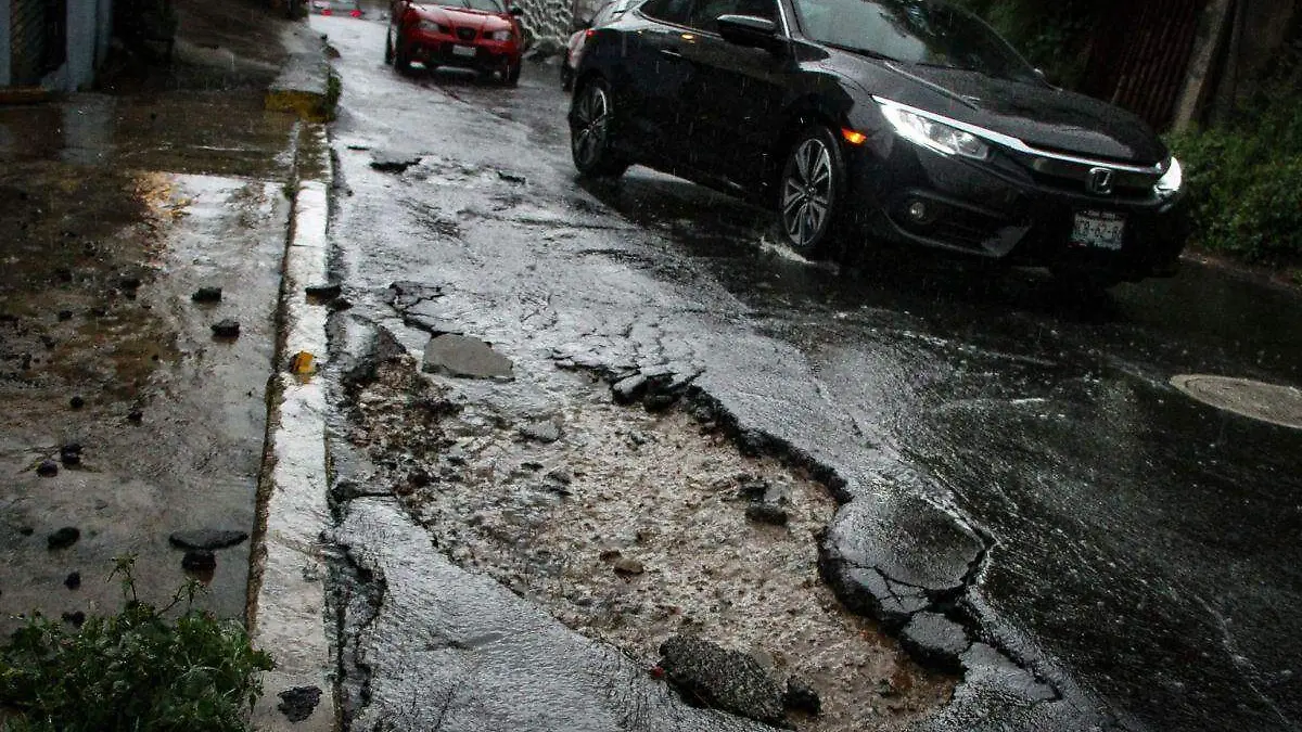 Bache